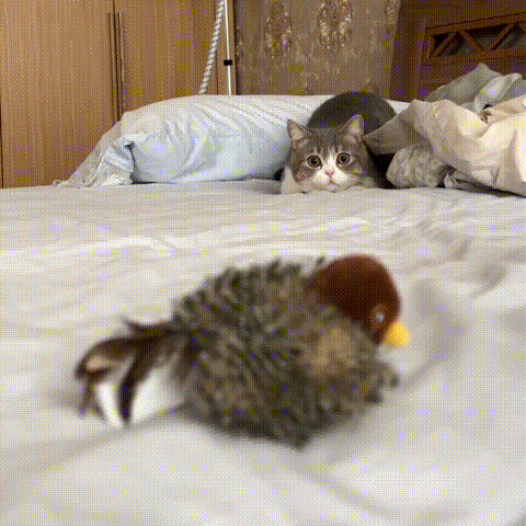 YoPoll Interactive Chirping Automatic Cat Toy