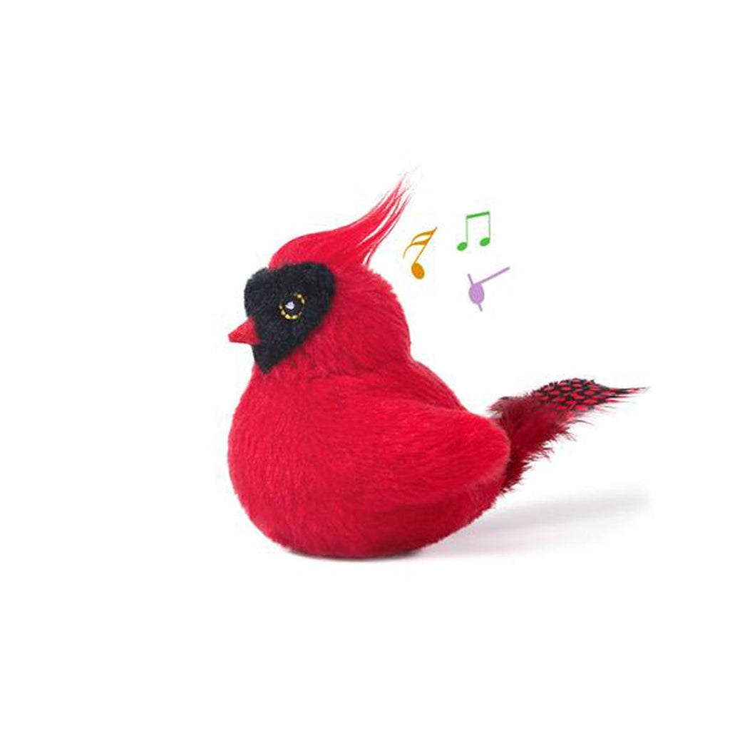 YoPoll Interactive Chirping Automatic Cat Toy